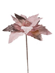 Tige de poinsettia
