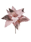 Tige de poinsettia