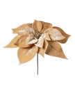Tige de poinsettia