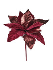 Tige de poinsettia