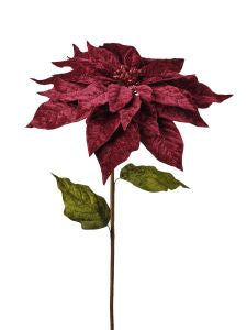 Tige de poinsettia géante