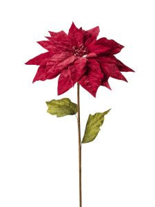 Tige de poinsettia Rouge
