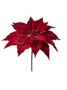 Tige de poinsettia Velours