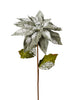Tige de poinsettia Vert