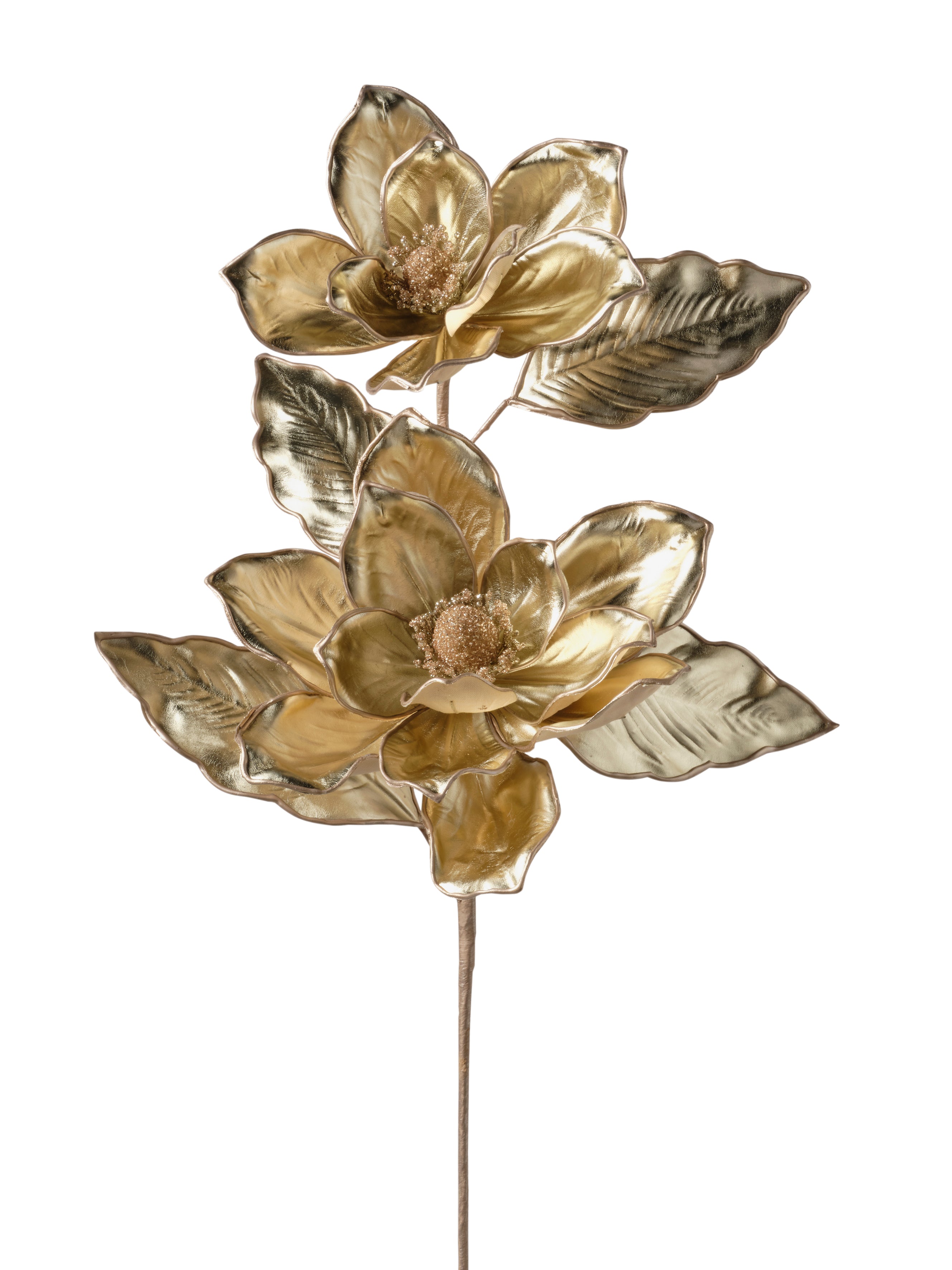 Tige deux fleurs magnolia