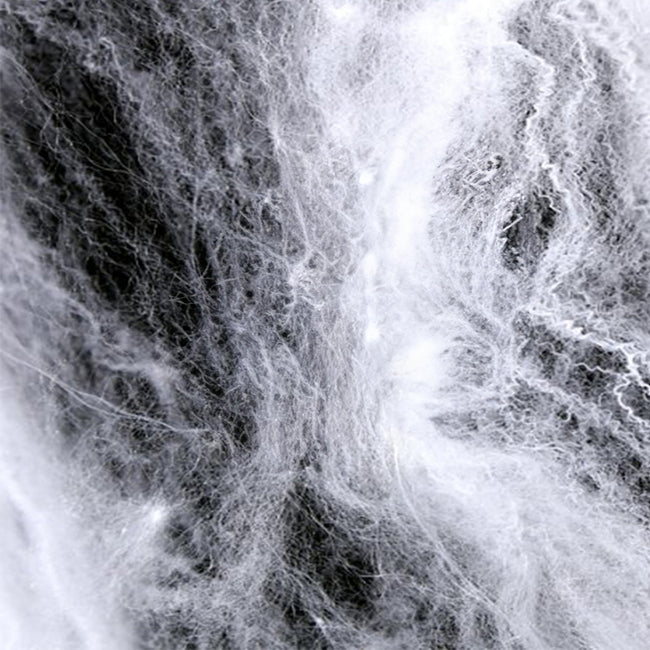 Toile d'araignee