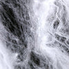 Toile d'araignee